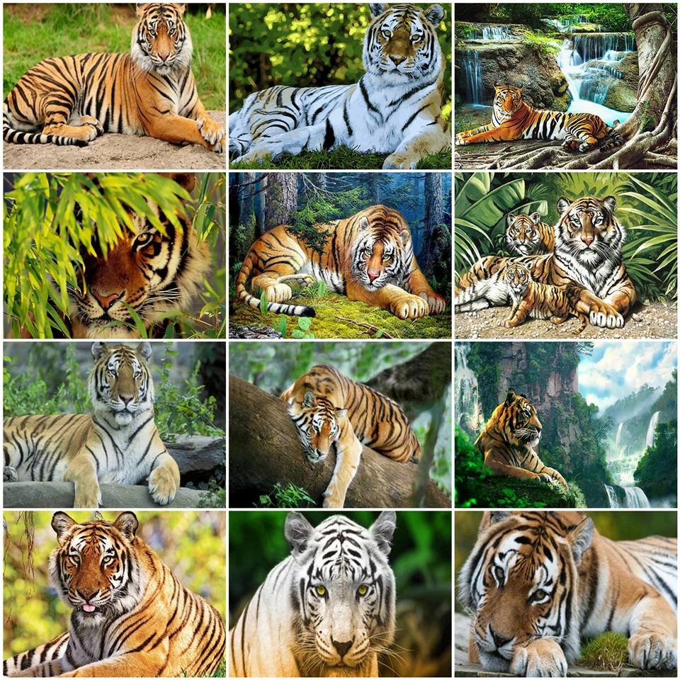 

Картина AZQSD по номерам, тигр, сделай сам, рама, Акриловая Краска на холсте, картины по номерам, животное, украшение для дома для гостиной