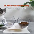Взрывной Cat -- популярная уникальная известная марка Cat собачья миска прозрачная как Материал Non-slip Еда чаша с емкостью для защиты шейного отдела точки прозрачные линзы