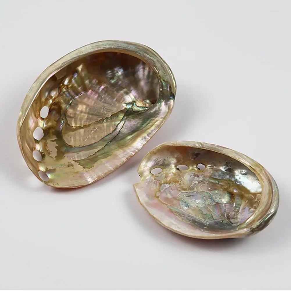 Натуральная сафлоровая Морская раковина аквариум ландшафтное украшение для