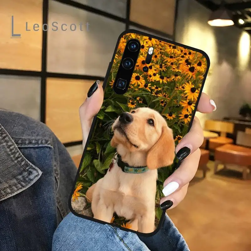 

Cute golden retriever dog Phone Cases For Huawei honor Mate P 9 10 20 30 40 Pro 10i 7 8 a x Lite nova 5t