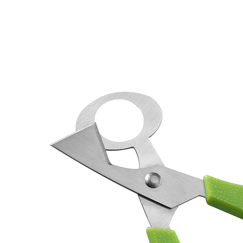 1 шт. Безопасный Прочный голубь перепелиное яйцо ножничный резак для птицы нож