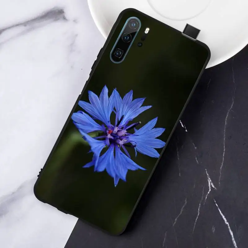 

Blue flowers Cornflower pattern Phone Case For Huawei honor Mate P 10 20 30 40 i 9 8 pro x Lite smart 2019 nova 5t