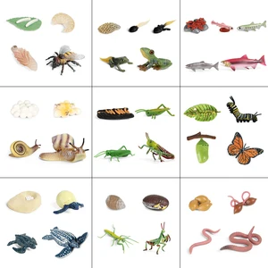 Модель цикла роста животных, петух, саранча, дождевой червь, улитка, фигурки героев, симпатичный детский подарок, обучающие игрушки для детей