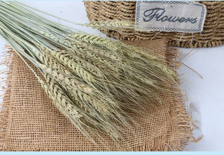 50 шт./лот натуральный цветок пшеничных ушей Натуральные сушеные цветы для