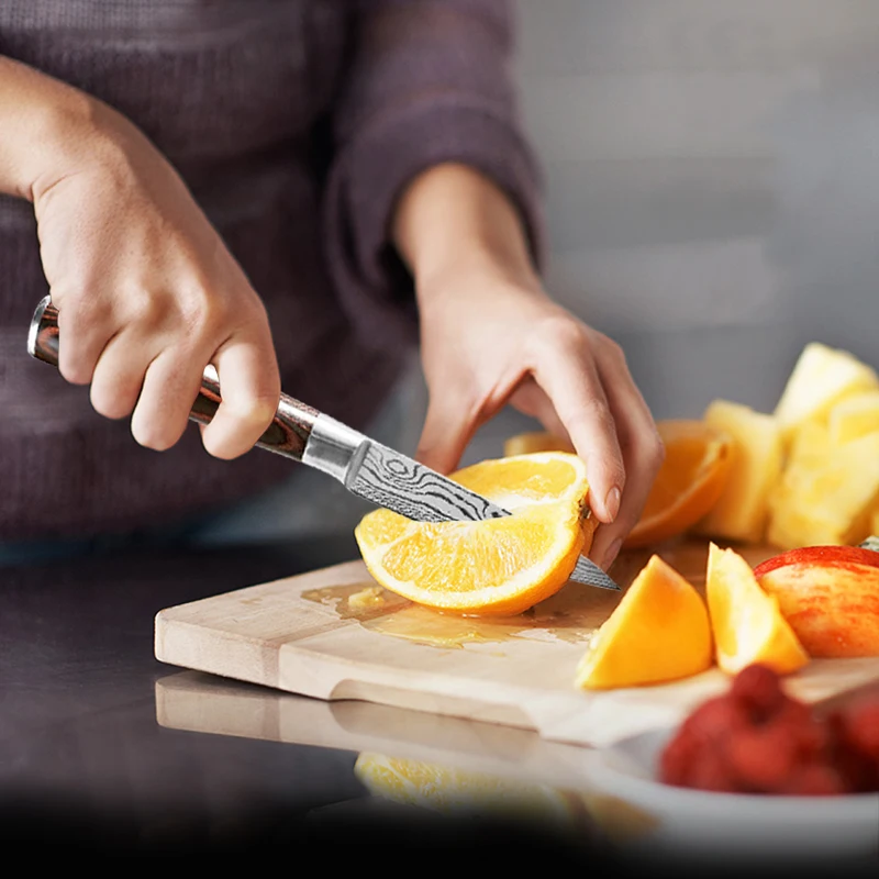 

10pcs Damascus Kitchen Knife Set Laser Pattern Professional Chef Knives 440C Stainless Steel