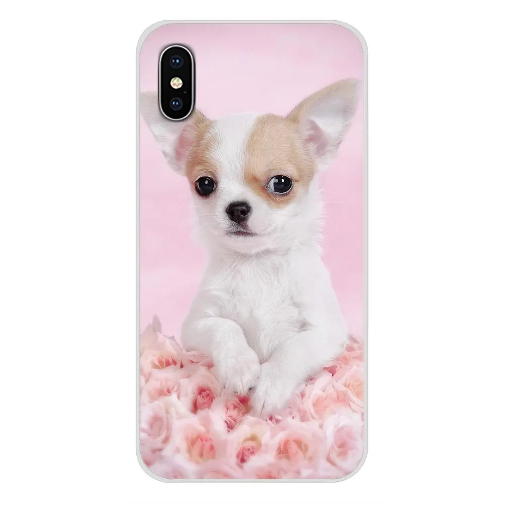 Животные Чихуахуа собака аксессуары чехлы для телефонов Чехлы Apple iPhone X XR XS 11Pro MAX 4S
