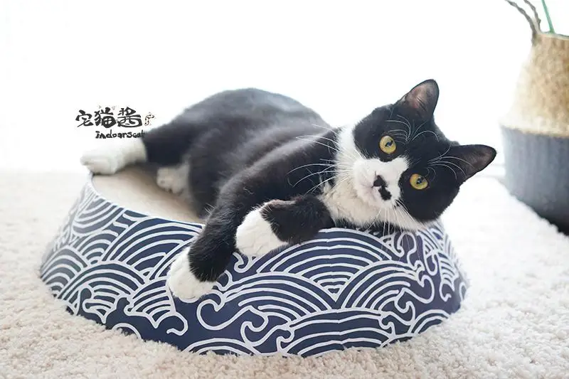 Вулканическое гнездо для кошек кошачье лицо от царапин благоприятное утолщенное