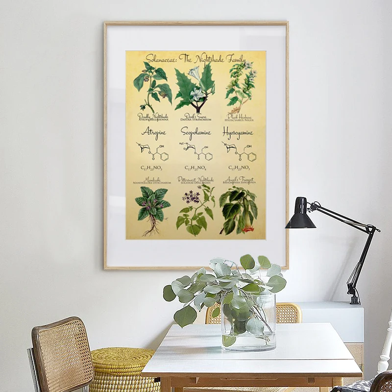 

Vintage Botanical Poster Prints Deadly Nightshade Retro Decoration Painting Witchcraft Apothecary Herbs Picture