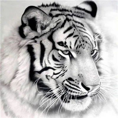 Алмазная картина животное тигр diy вышивка крестиком полное сверление круглый