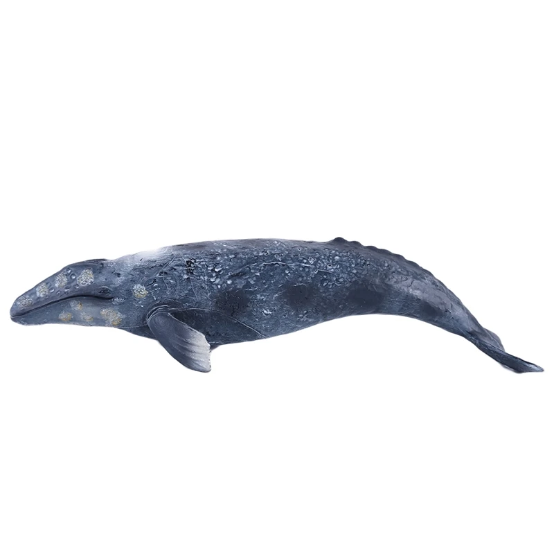 

Children's Simulation Ocean Sea Life Animal Model Toys White Shark Whale Shark Model Educational Toys Birthday Gift for Kids