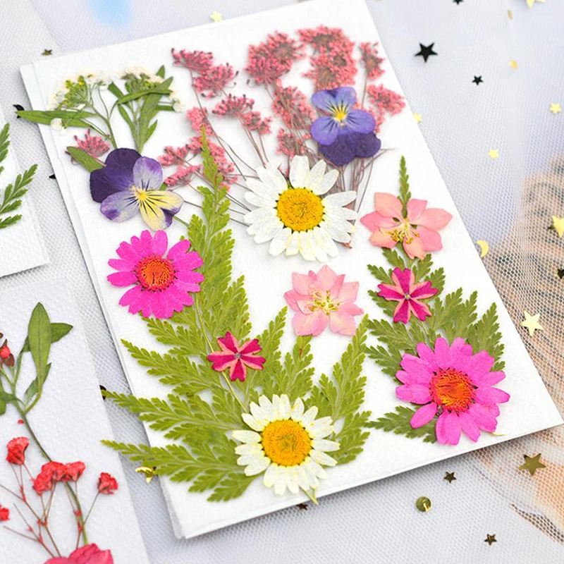 

1 Bag Colorful Real Dried Flower Plant For Aromatherapy Candle Epoxy Resin Pendant Necklace Jewelry Making Craft DIY Accessories