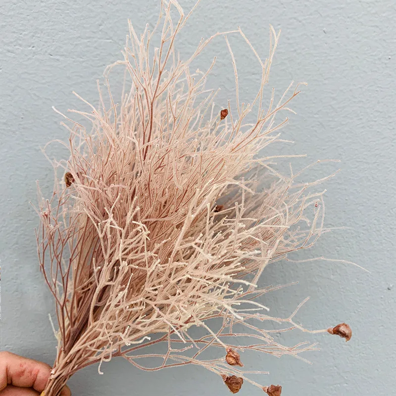 

Fresh-Keeping Longxu Dream Grass Bouquet Decoration Ornaments Coral Pampas Dried Flowers Photography Props DIY Accessories
