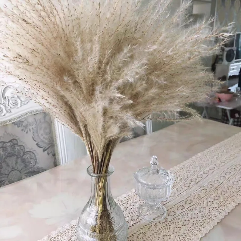 Букет из сушеных цветов камышовое сырье для самостоятельной сборки красные