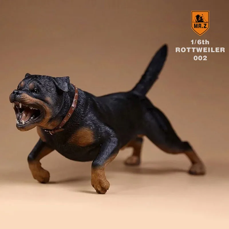Экшн-фигурка Mr.Z в масштабе 1/6 собака немецкий Ротвейлер фотография модель F 12