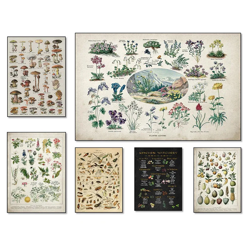 Paleobios растение ретро постер цветок животные насекомые бабочки грибы холст