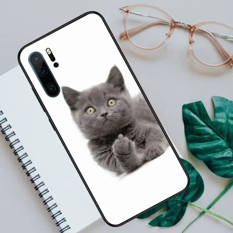 

Cute kitten Phone Case For Huawei P40 P20 P30 lite Pro P Smart 2019 Mate 40 20 10 Lite Pro Nova 5t