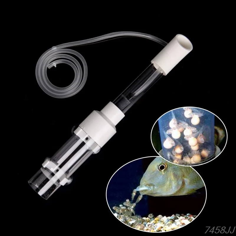 

Aquarium Cichliden Tumbler Incubator Fish Browning Eggs In Place Moon Bread Dropship Aquarium Supplies
