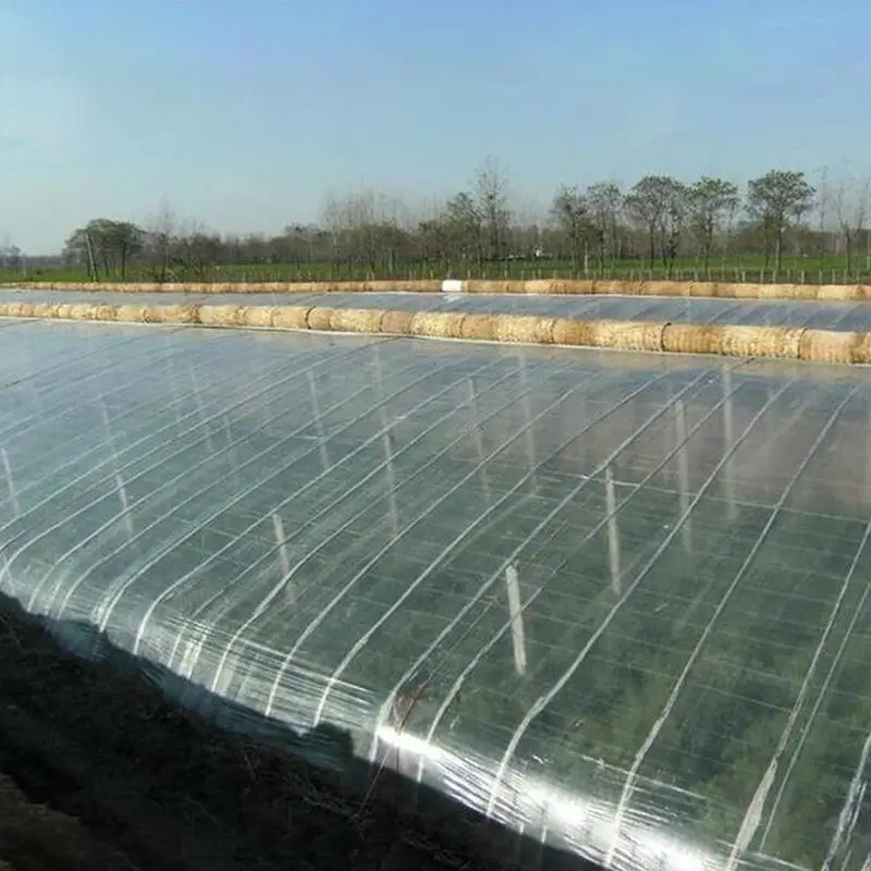 

4X5 meters Agricultural Plastic Film Farm Crops Greenhouse Garden Vegetable PE Protective Film Plants Covering Film