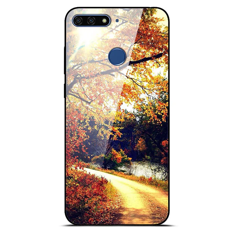 36 Чехол E Funda для huawei Honor 7C 7A, чехол из закаленного стекла, жесткая задняя крышка для huawei Honor 7C Pro/7A Pro, чехол из мягкого ТПУ 7 C мультяшным рисунком - Цвет: 36