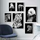 Лев тигр Зебра панда настенная живопись холст скандинавский плакат и печать фотографии животных на стену для гостиной скандинавский Декор