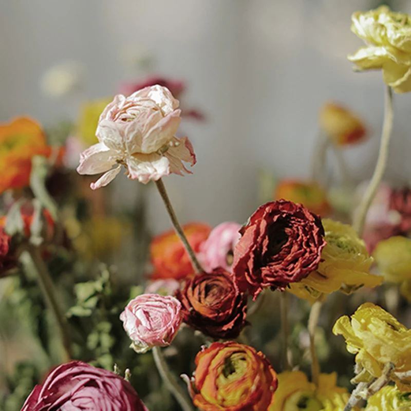 

Ins Style Dry Flower Ocean Peony Nordic Wind Department Natural Künstliche Dekorationen Household Home Decoration Droogbloemen