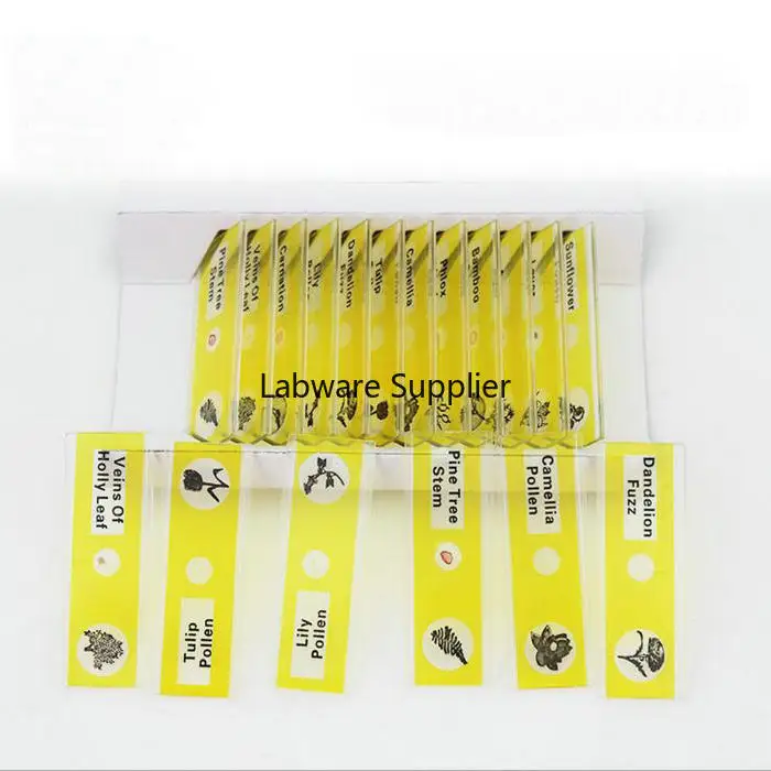 Бесплатная доставка 4 коробки/упаковка/партия пластиковые слайды для микроскопа