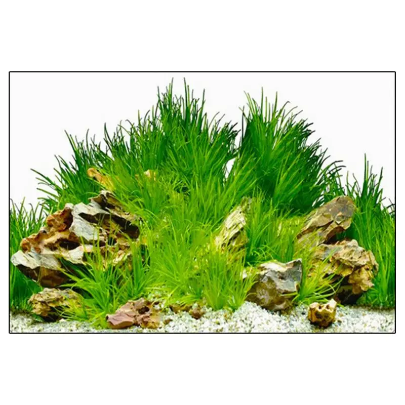 Фон с изображением аквариума 3D двусторонний пейзаж океана плакат Декор | Дом и