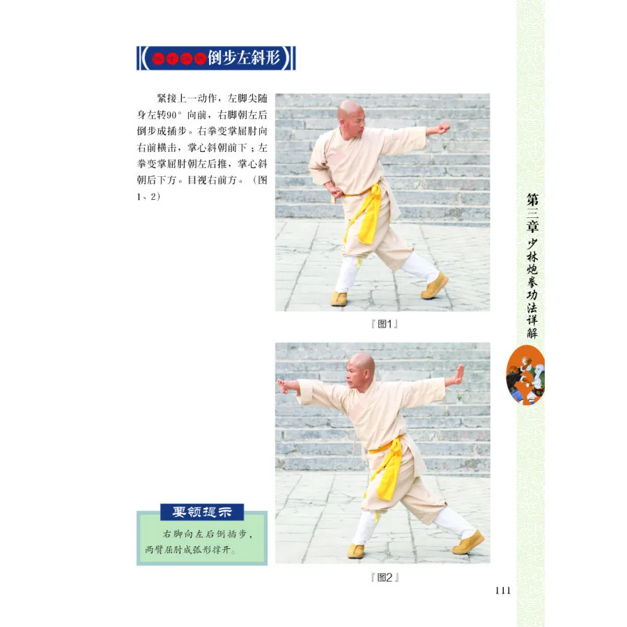 Шаолин палка Бодхидхарма шаолин кулак Ши де Ян с DVD обучение китайскому кунг-фу