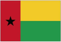 election 60x90cm 90x150cm 120x180cm gnb the republic of guinea bissau national flag