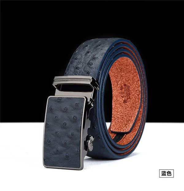 

w17920X Men Ostrich leather design fleece inside ratchet buckle genuine leather belts