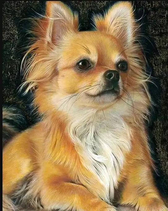 5d DIY Алмазная картина животные собака полная квадратная вышивка узорная мозаика