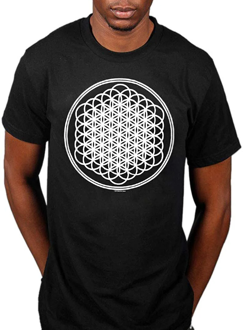 Официальная футболка Bring Me The Horizon Sempiternal для мужчин и женщин 11 цветов 8