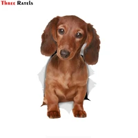 three ratels ftc 1070 3d long haired dachshund sausage dog car sticker decal for wall toilet room luggage skateboard laptop