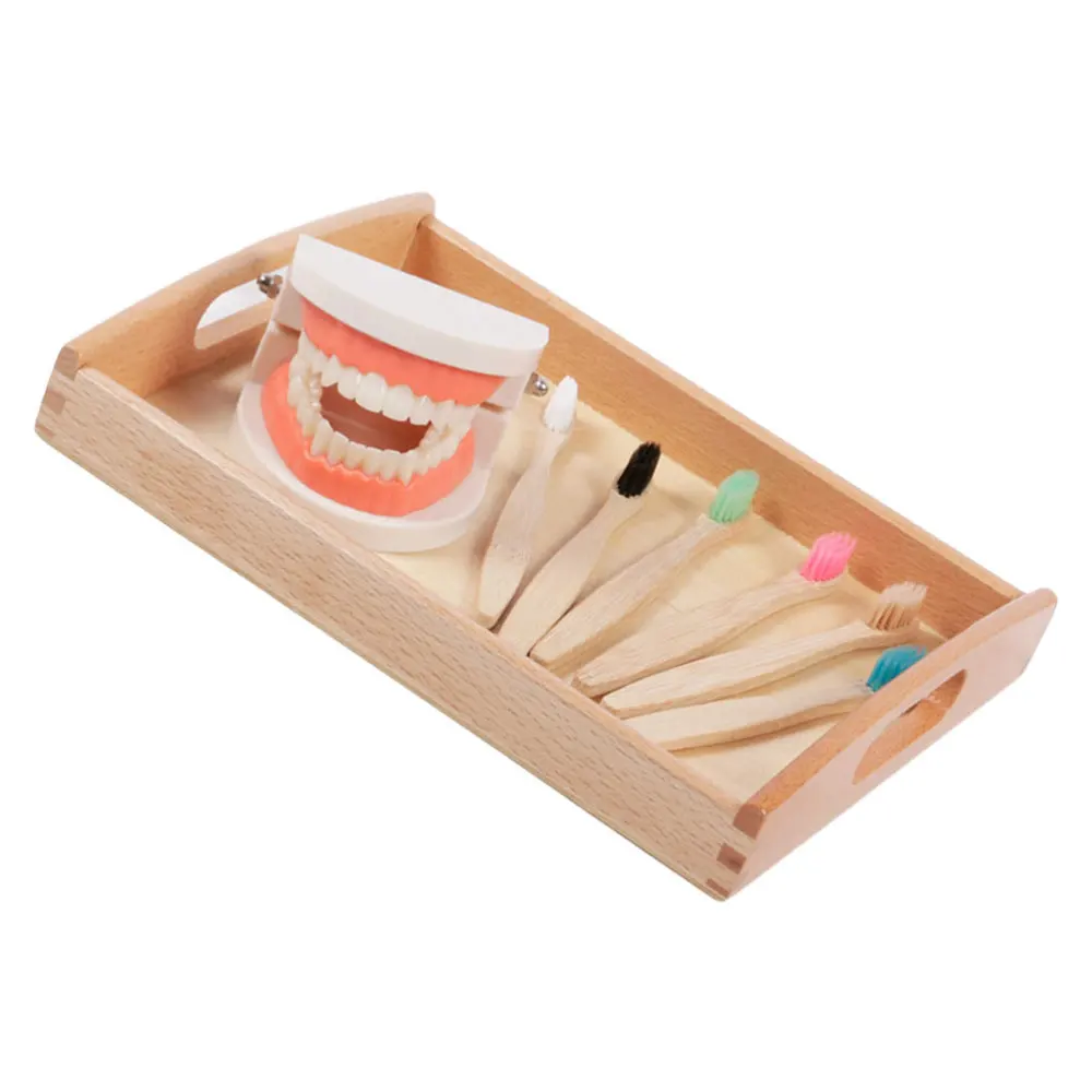 

1 Set Wash Gargle Toys Wooden Brushing Educational Plaything for Kid