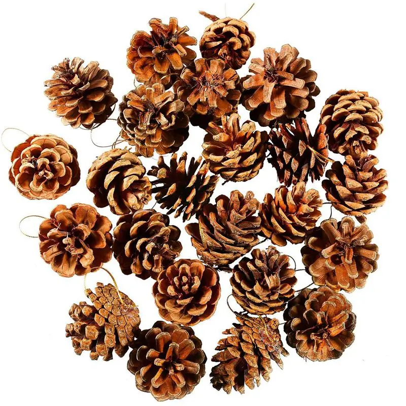 24 шт. сосновые шишки орнамент натуральные PineCones с веревочной подвеской ремесла