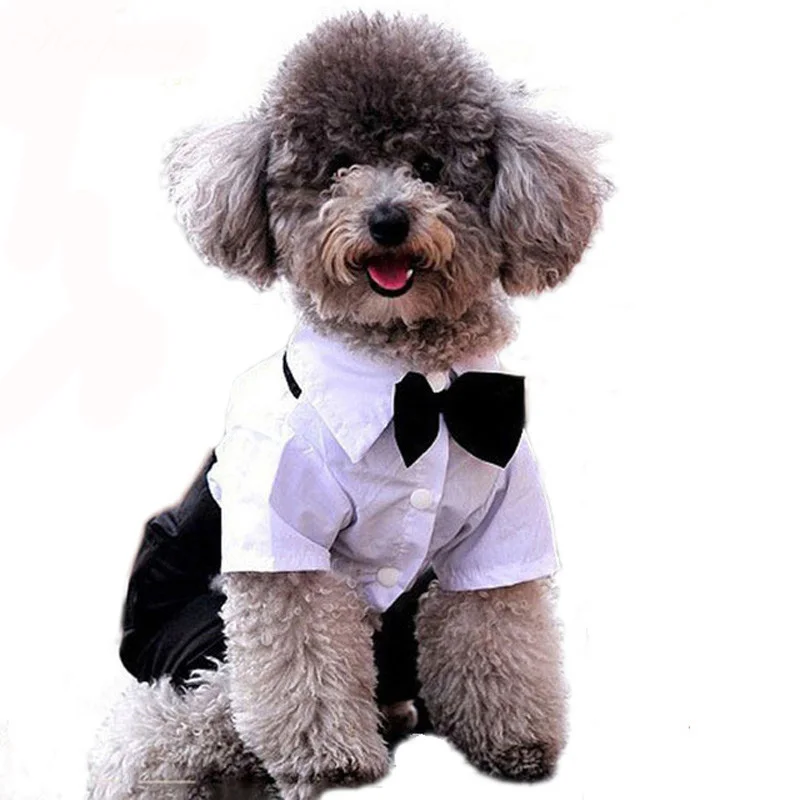 Мужской комбинезон в западном стиле для домашних животных одежда собак