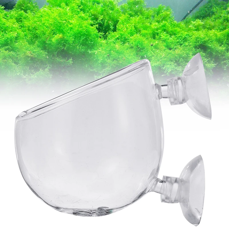 Водное растение хрустальный стеклянный горшок горшечная посадка цилиндр чашки