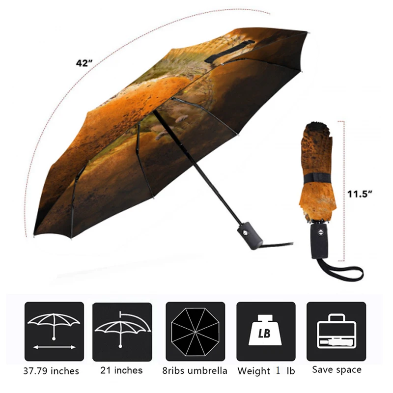 Женский складной автоматический зонтик в виде совы женский пляжный зонт от дождя