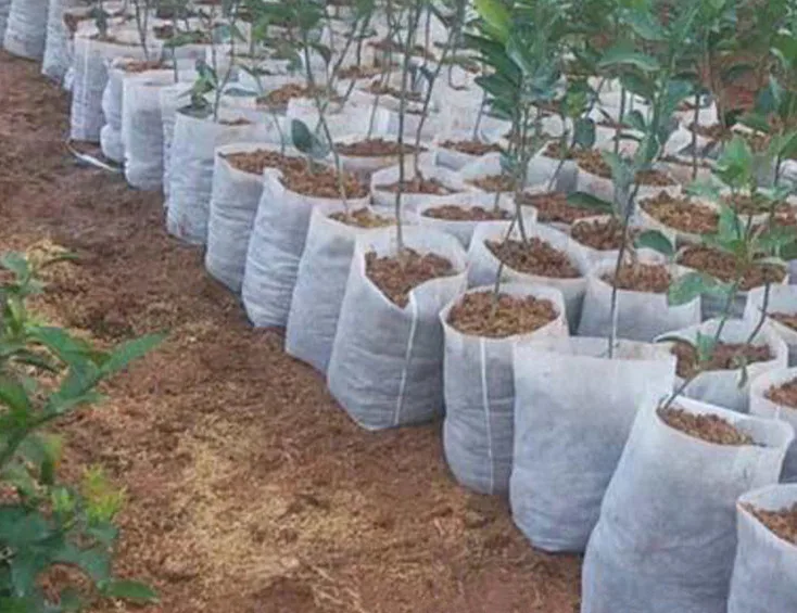 100 штук разложению рассады защиту окружающей среды нетканые пакеты для Садовые