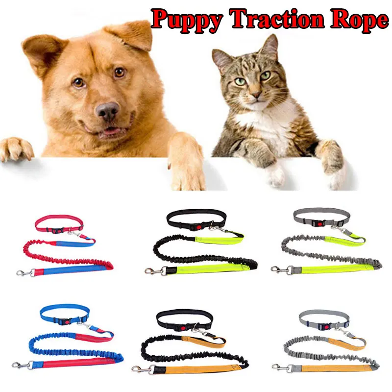 

New Adjustable Durable Pet Collar Reflective Pet Leash Traction Rope Dog Collar Military Training Freely Jogging Pet Supplies