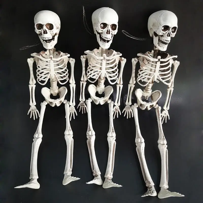 

90cm Halloween Skeleton Full Body Model Plastic Skeleton Figure Movable Joints for Festival Home Decoration