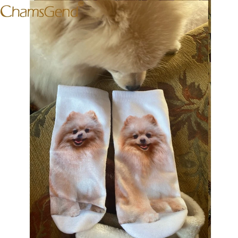 Женские носки милые хлопковые с 3d-изображением Померанской собаки повседневные