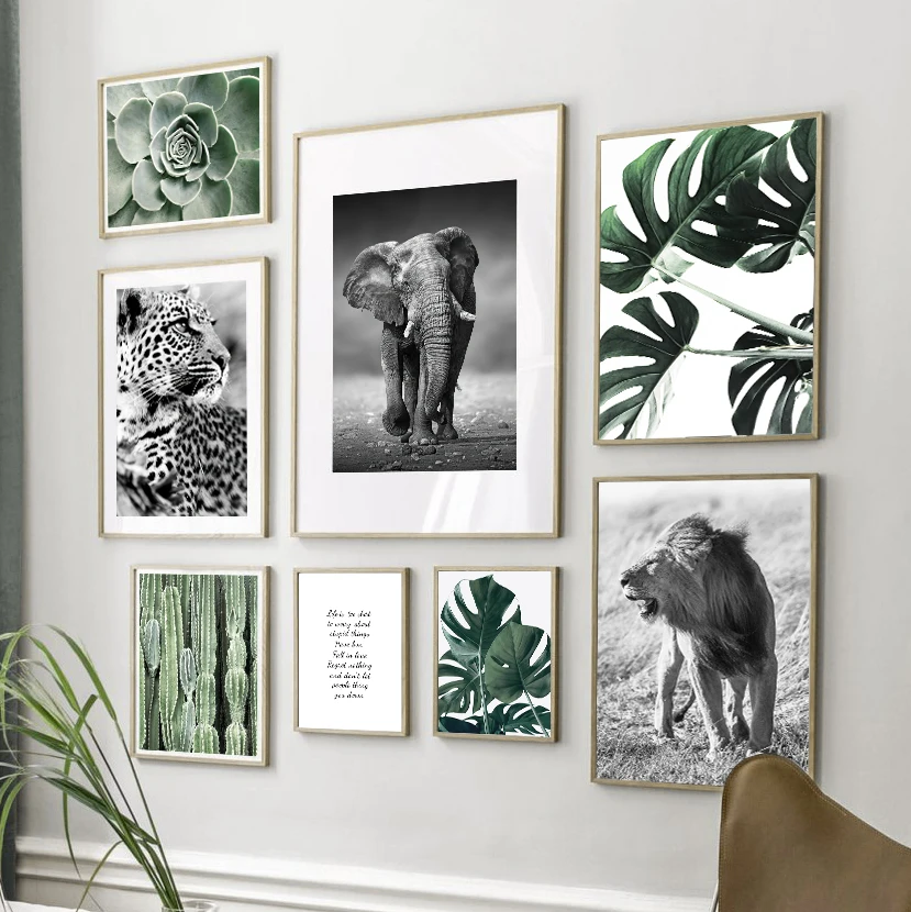 

Wild Lion Elephant Leopard Succulent Plants Wall Art Canvas Painting Nordic Posters And Prints Wall Pictures For Living Room