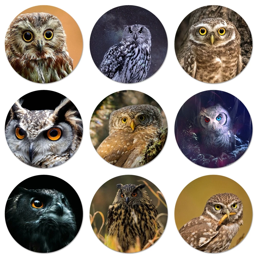 Animal Owl Eyes Icons Pins Badge Decoration Brooches Metal Badges For Clothes Backpack Decoration