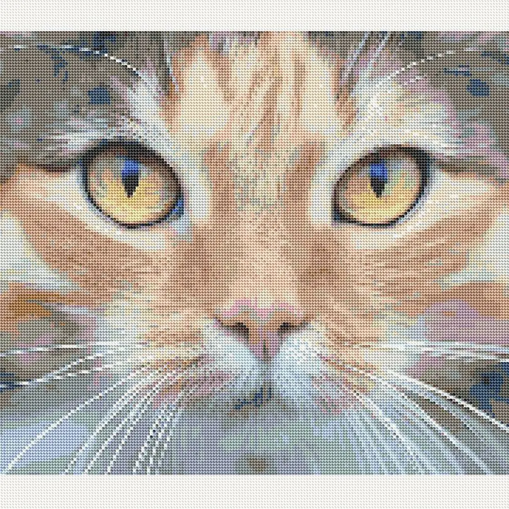 5D алмазная Картина Набор для вышивки крестиком кошка Красочные ручной