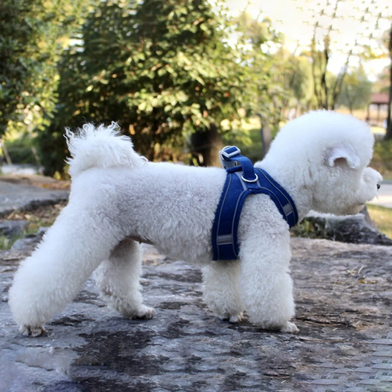 

Multicolor Pet Chest Harness Breathable Dog Harness Leash Set Small Dog Vest Simple Style Outdoor Walking Supplies