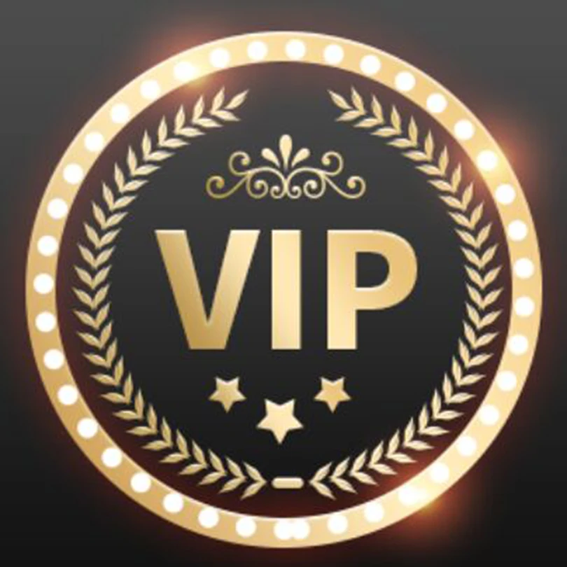 

VIP For Drop Shipping Link SG907