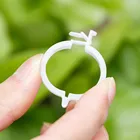 100 теплица овощи Сад орнамент Пластик завод Поддержка зажимы для помидор висит из мешочного тика лоза подключается растения