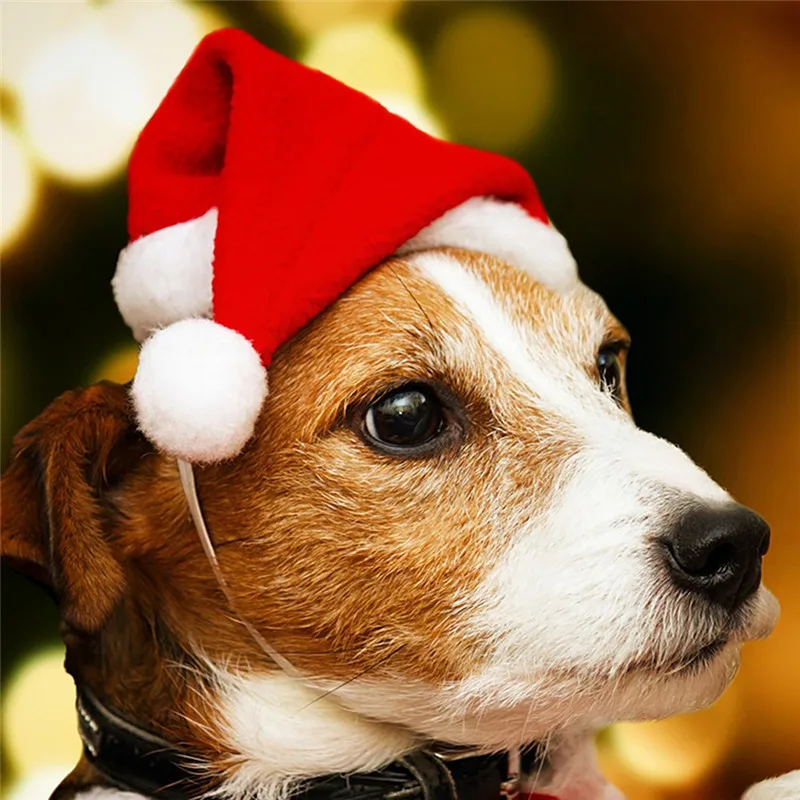 1 pcs Christmas Festival Pet Dog Hats Small Push Decorative Hat for Chihuahua Cat Headwear Costume Accessories | Дом и сад