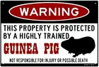 Знак морской свиньи FemiaD, забавные металлические знаки, клетка морской свиньи, алюминиевый металлический знак GuineaPig 8X12 дюймов